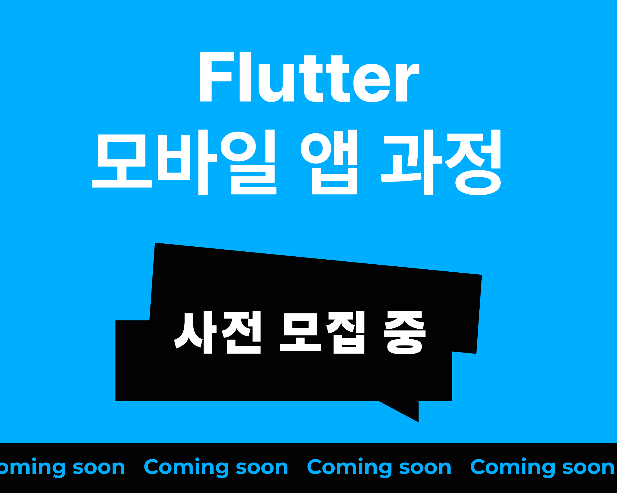Flutter 모바일 앱 개발 과정